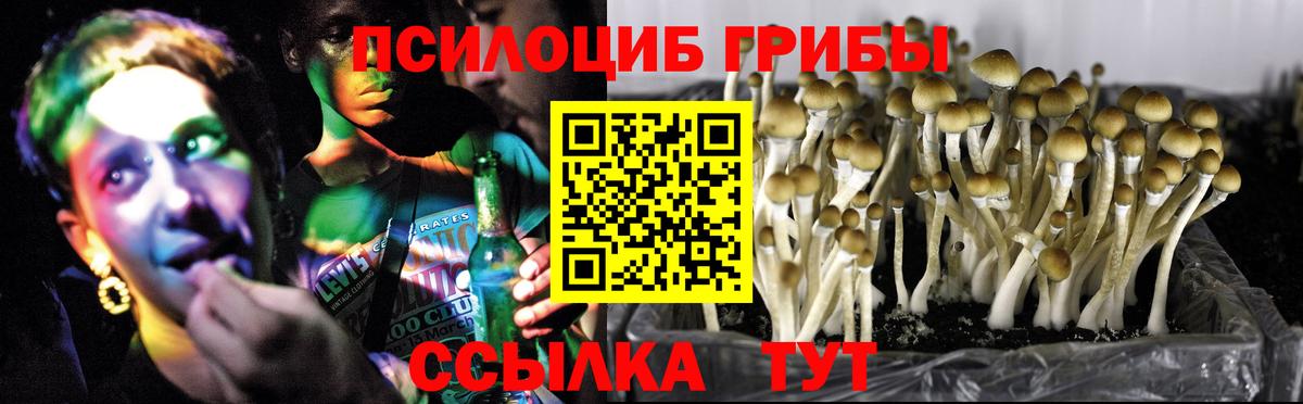Новомосковск  Псилоцибиновые грибы мухоморы  Вход с VPN 
